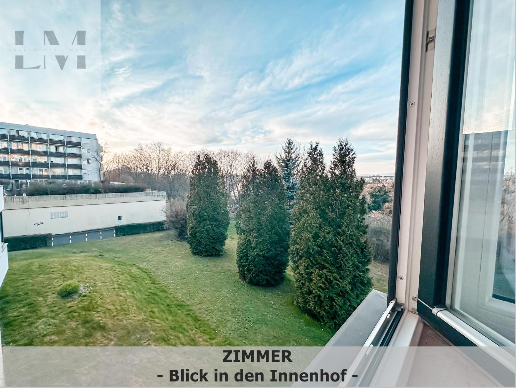 Lm-Apartmentsmainz-01 Buitenkant foto